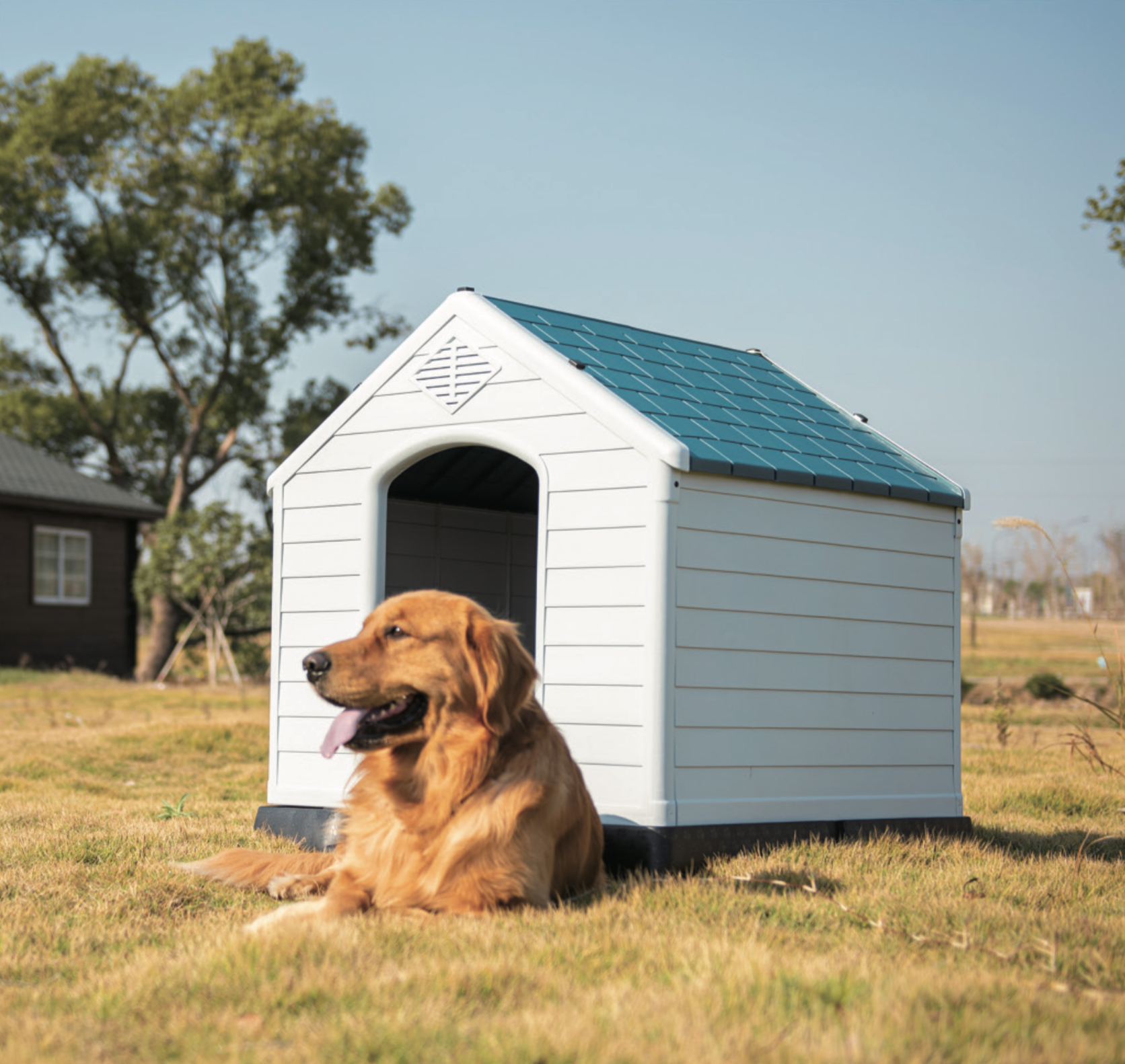 Large plastic waterproof outdoor dog house cage carrier kennels for pet
