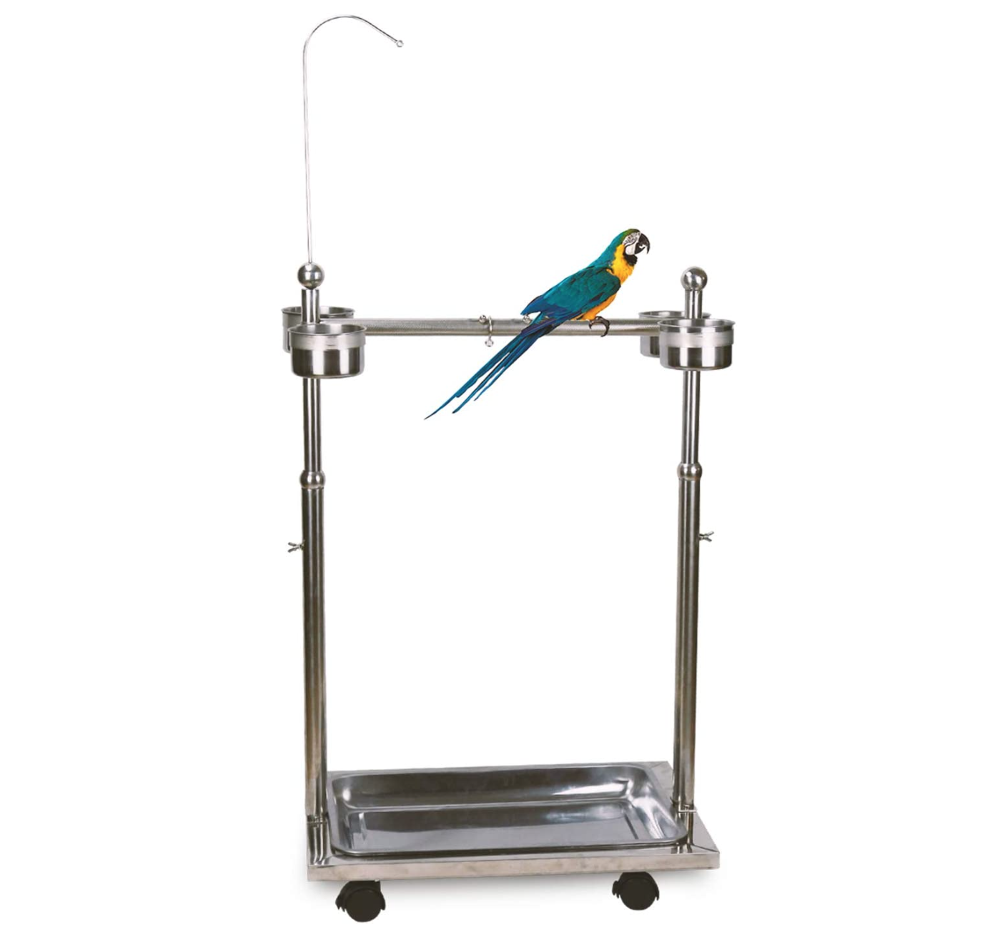 Factory wholesale high quality 2-size adjust high stand bird parrot play stand for pet bird rest perch